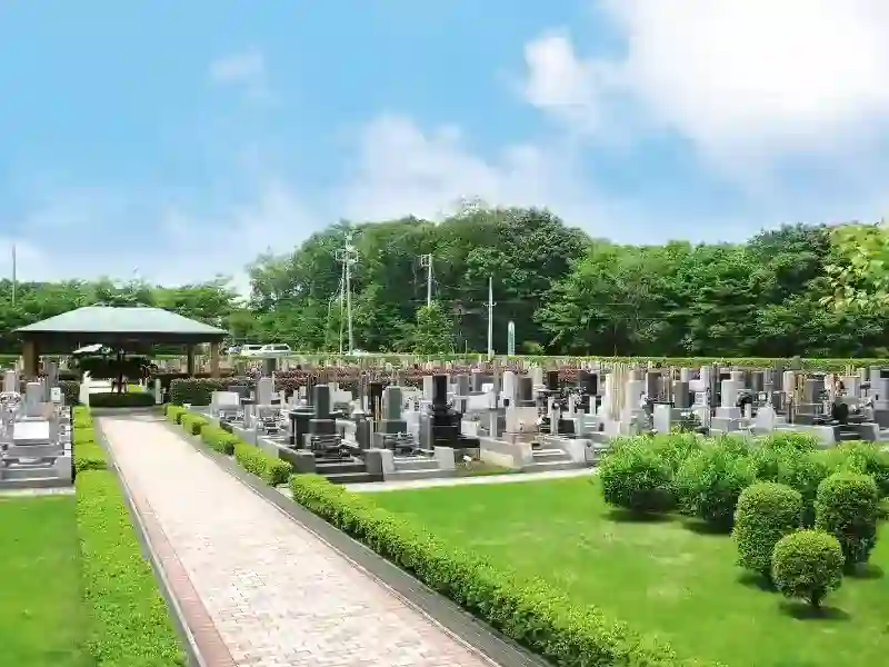 緑に囲まれている