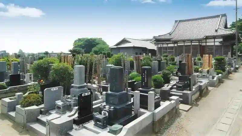 墓地