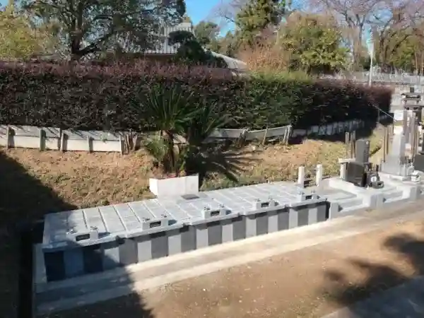樹木葬②