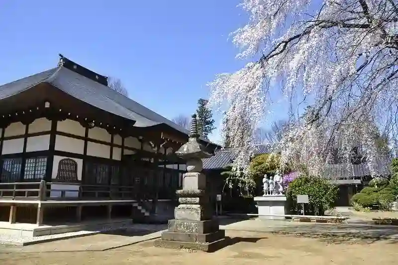 境内には緑と花々が豊富です