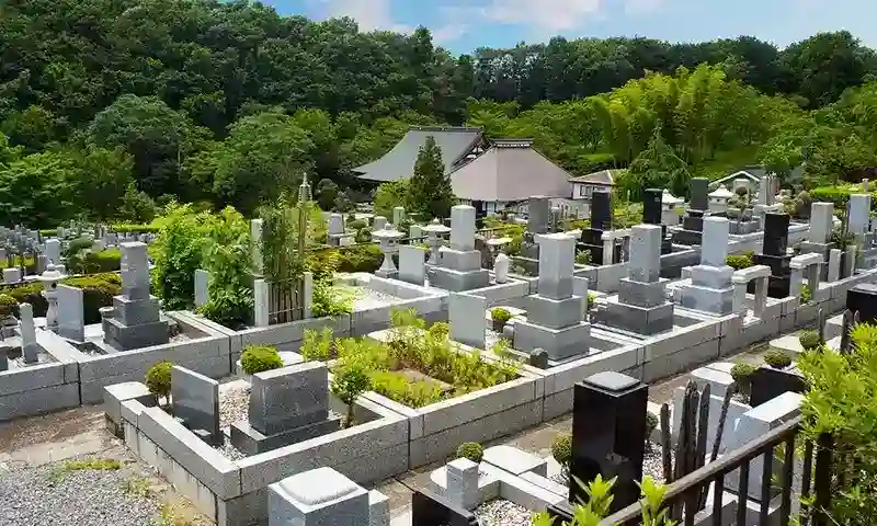 自然に囲まれた落ち着いた空間です