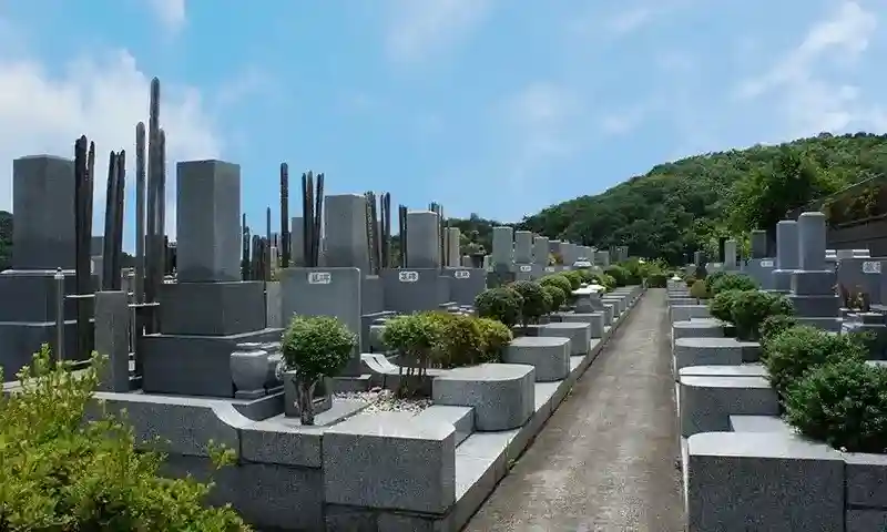 歩きやすい参道