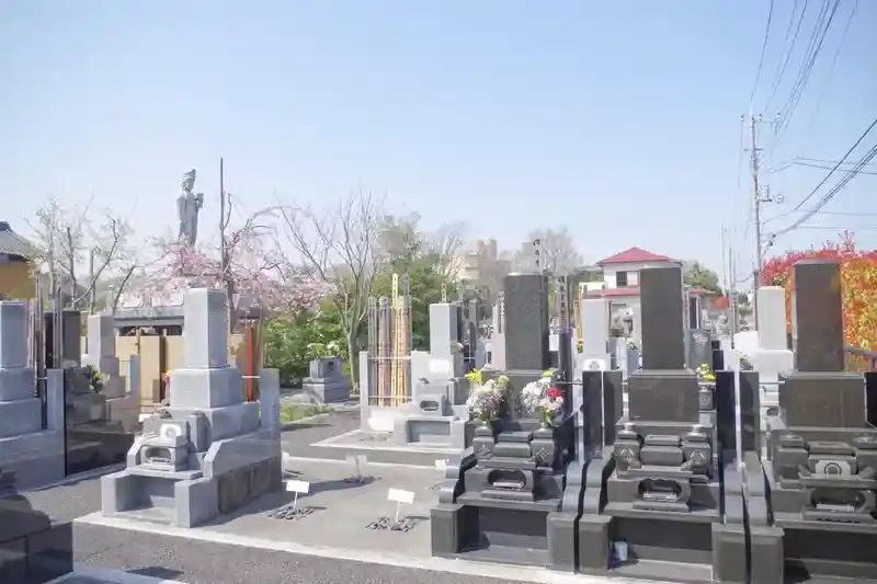 整地された新規造成区画