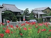 緑と花に囲まれた正円寺