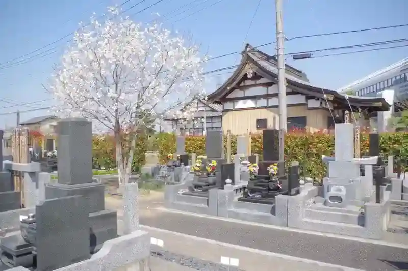 緑に囲まれた墓域