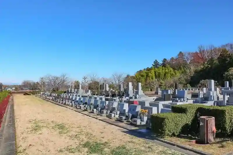 整えられた芝生