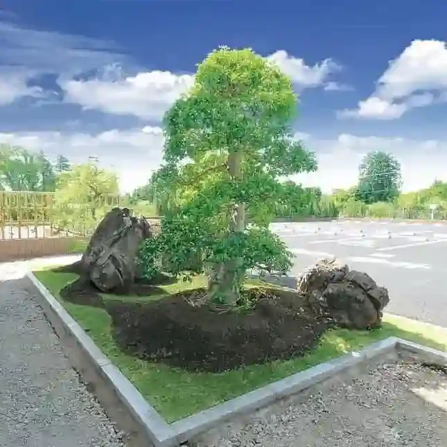 園内の日本庭園