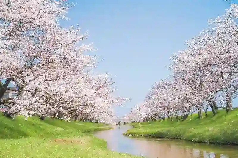 景色