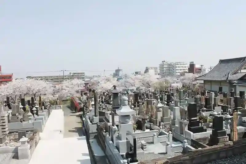 園内風景