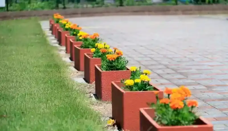 パンジーの植栽
