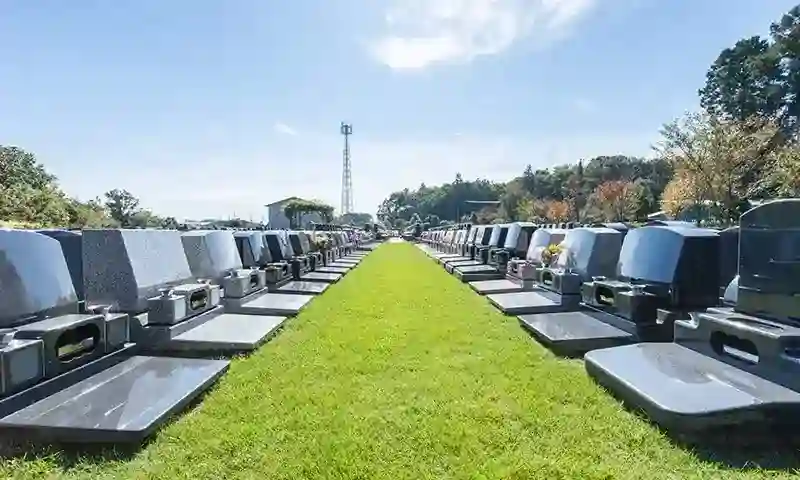 綺麗に整備された芝生の参道