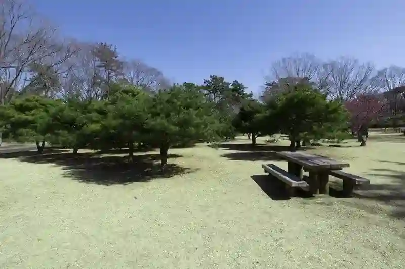 ベンチでほっと一息