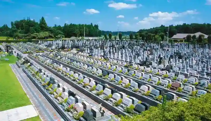 霊園全景