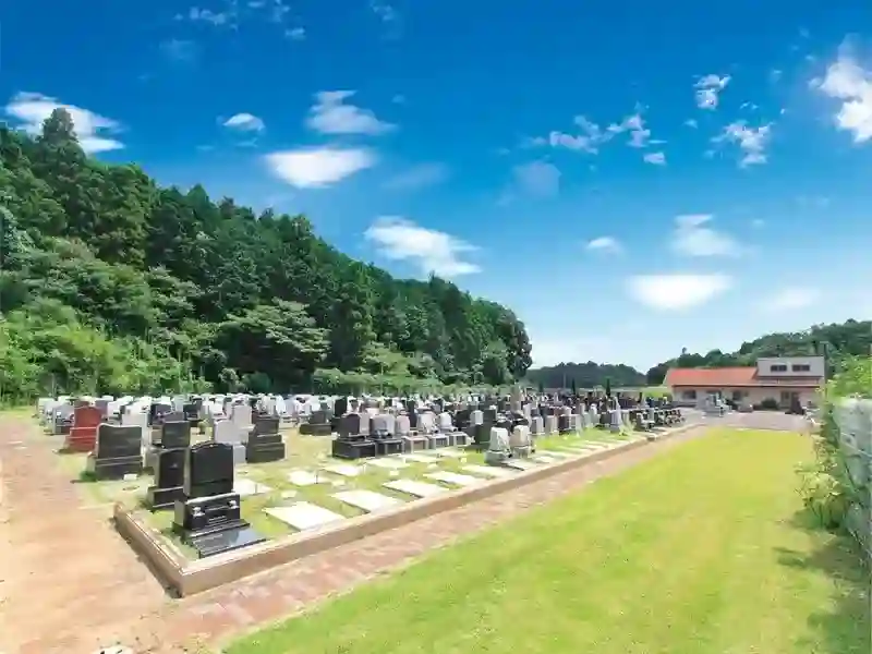 全景