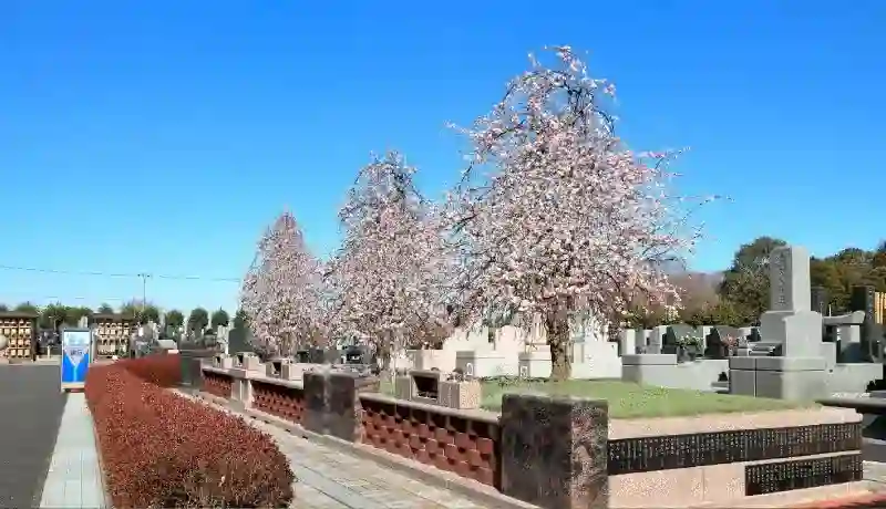 庭園樹木葬