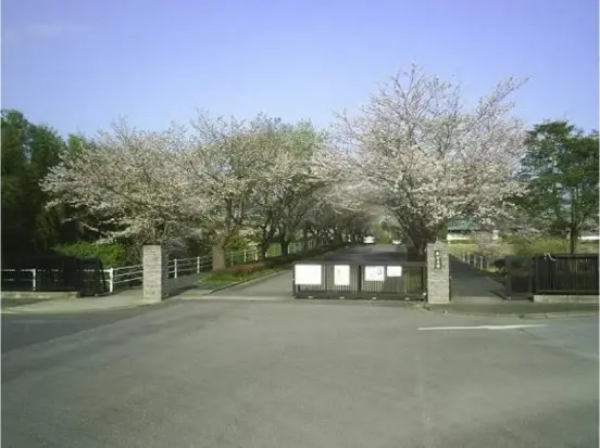 入口