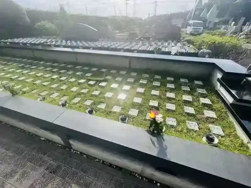 こころの樹　Aエリア