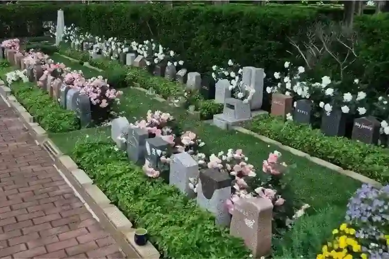 花と緑あふれる墓地③