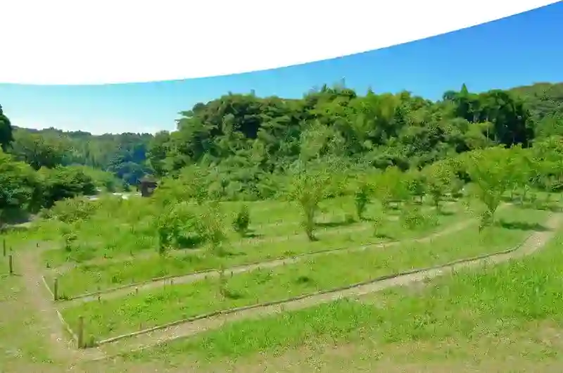 全景➀