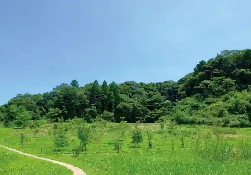 全景②
