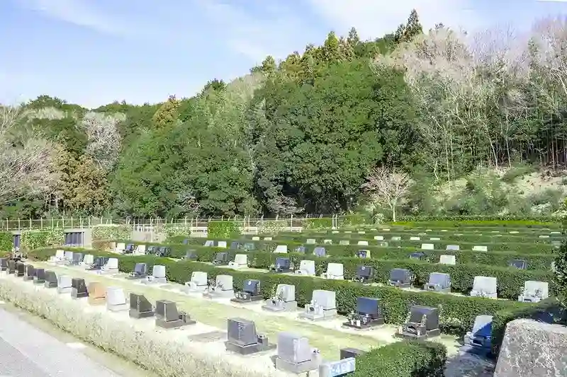 墓域⑤