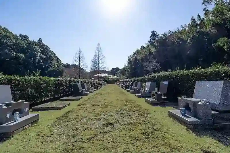 墓域②