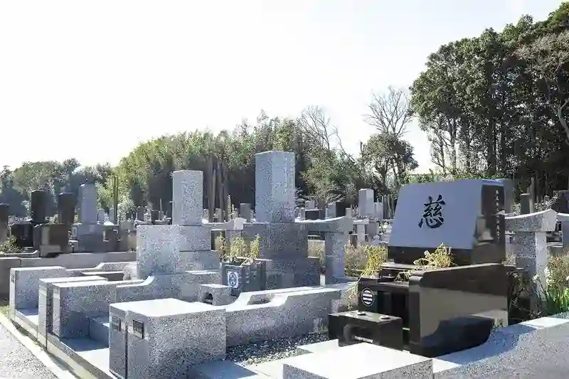 墓域④