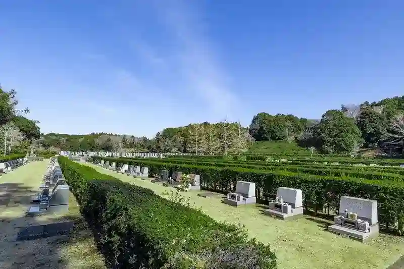 墓域③