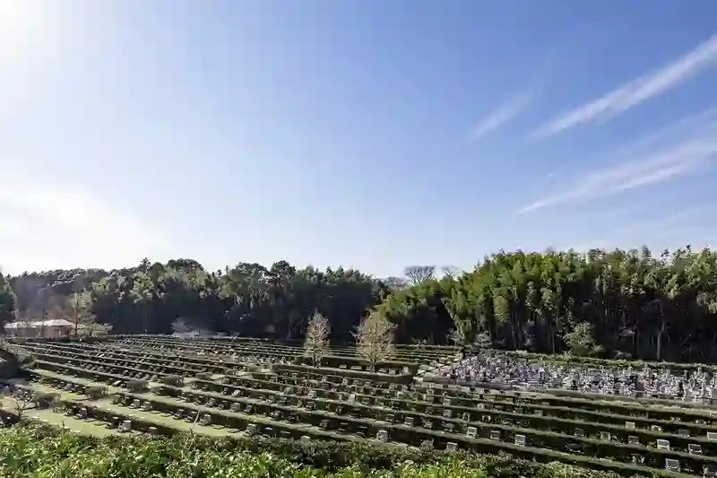 全景