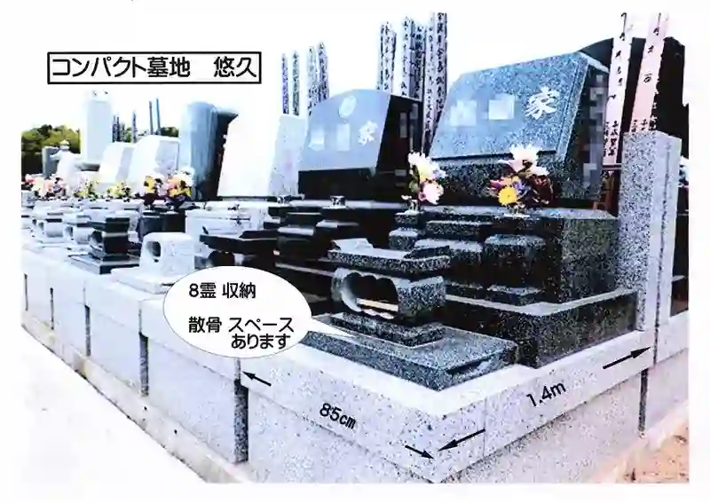 悠久１