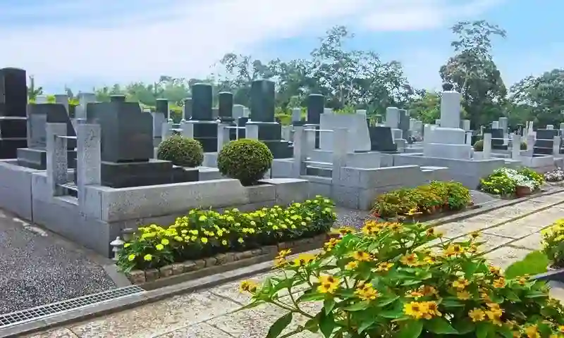 参道の脇にもお花が咲いています