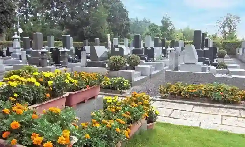 綺麗なお花が園内を明るくします
