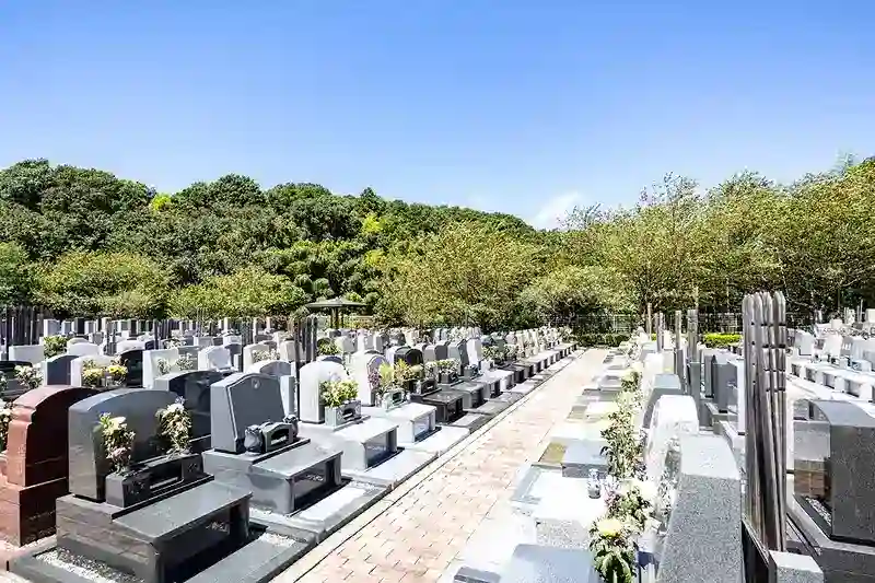 墓域③