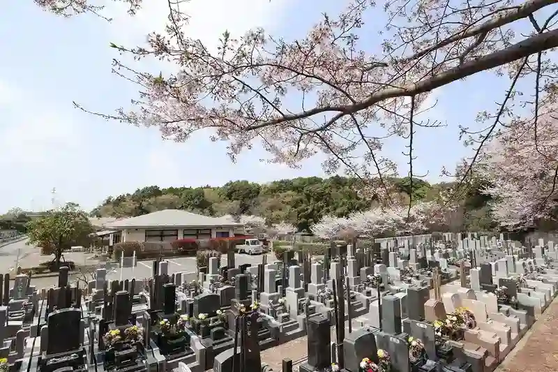 全景イメージ