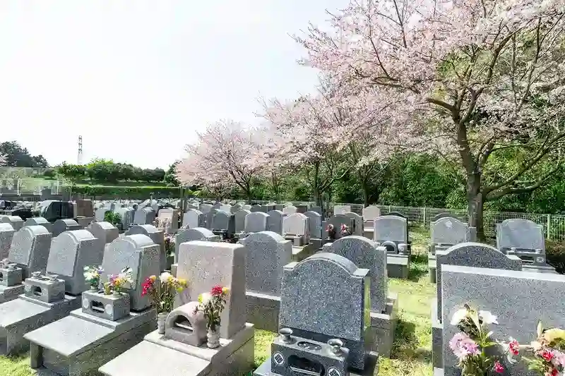 墓域④