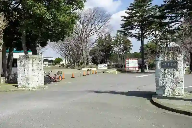入口