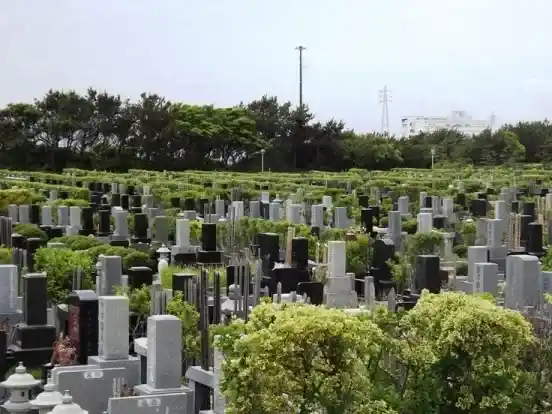 墓域②