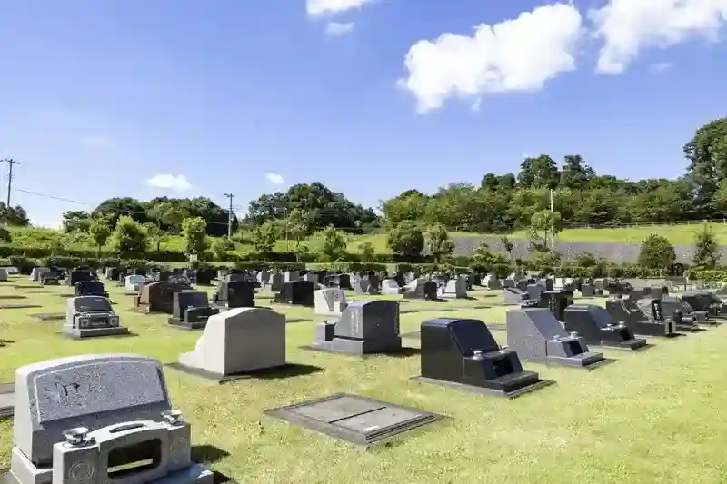 墓域③