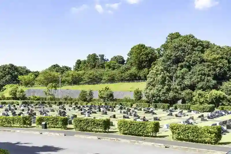 全景