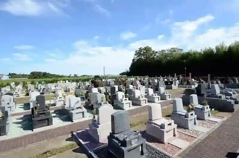 明るく開放的な園内