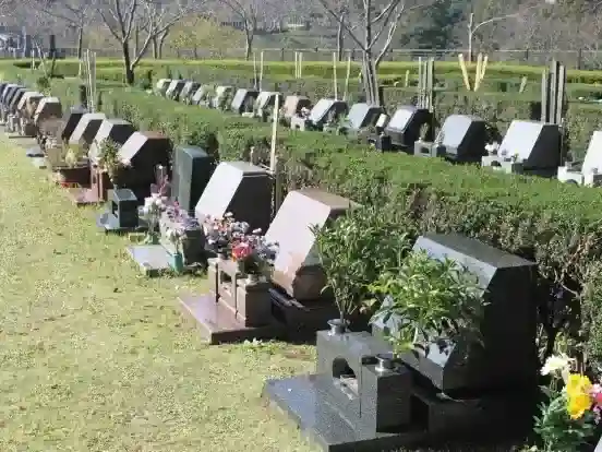 墓域③