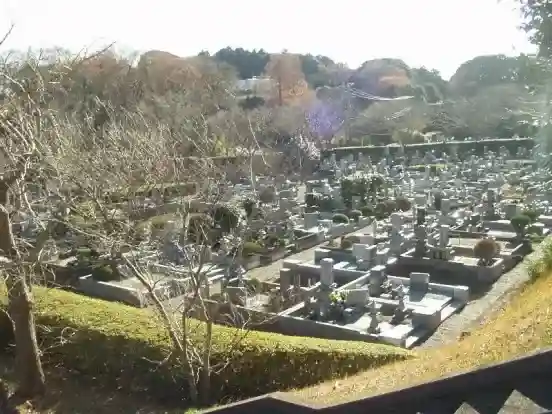墓域②
