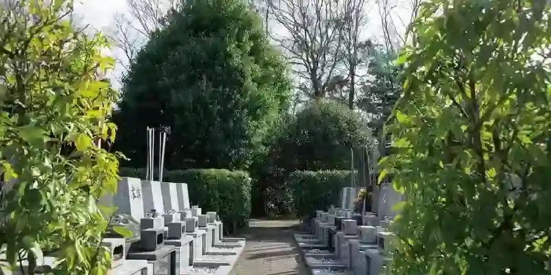 歩きやすい参道