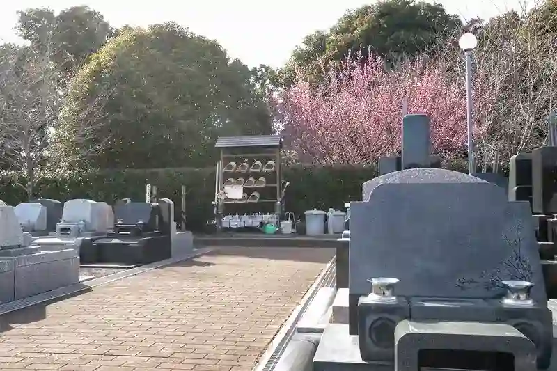 水汲み場