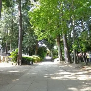参道