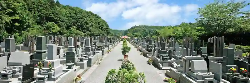 墓地全景
