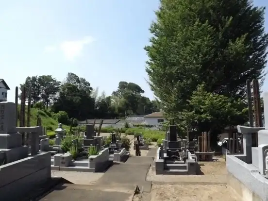 墓域①