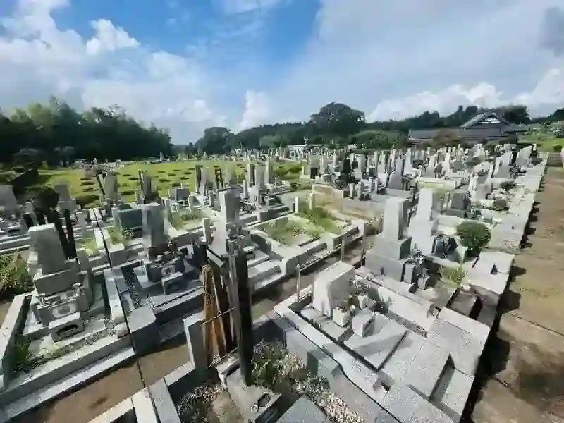 墓地全景①