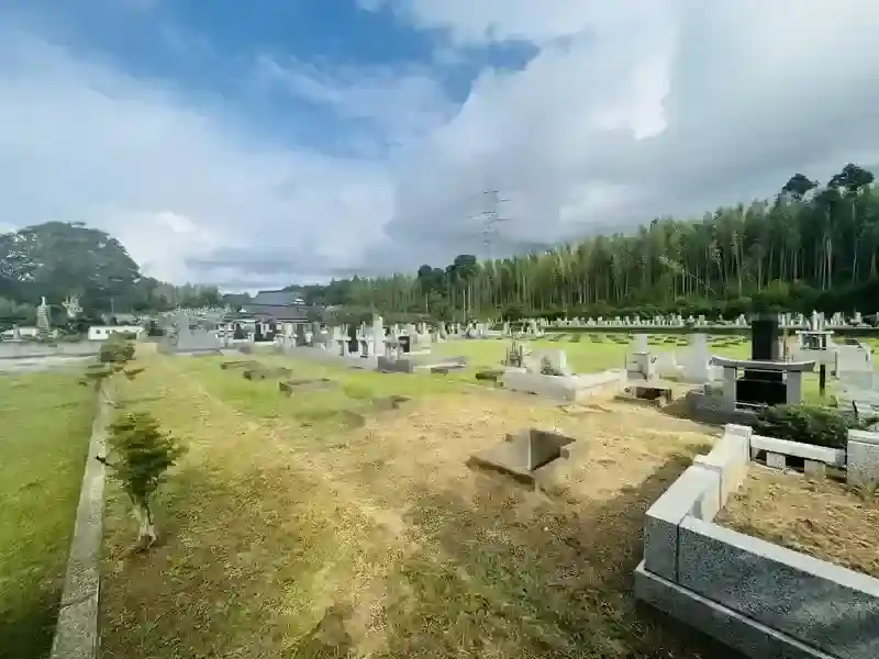 周囲にはたくさんの自然