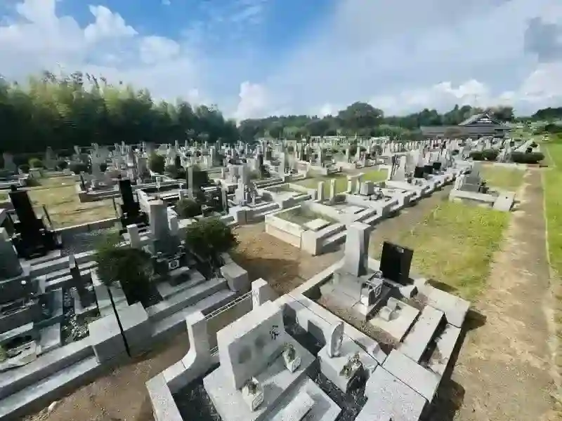墓地全景②